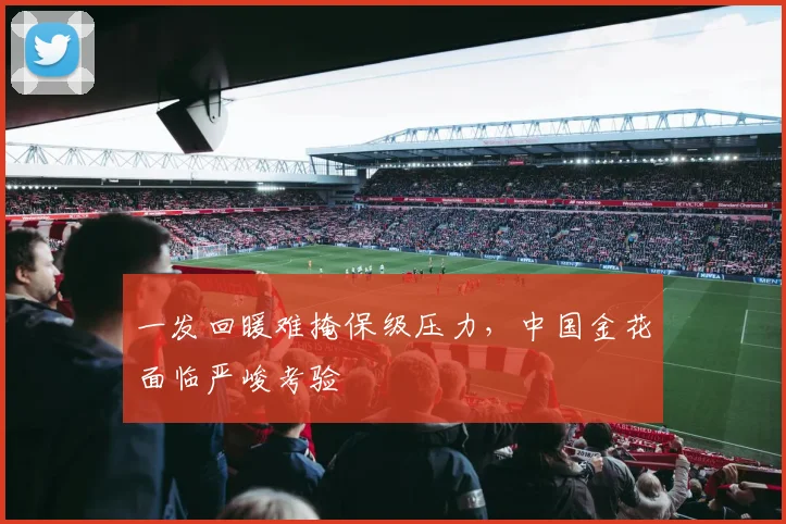 一发回暖难掩保级压力,中国金花面临严峻考验