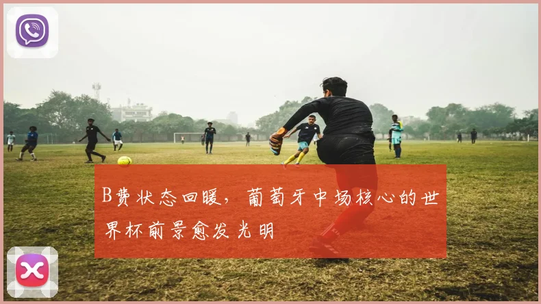 B费状态回暖，葡萄牙中场核心的世界杯前景愈发光明 - 2026世界杯